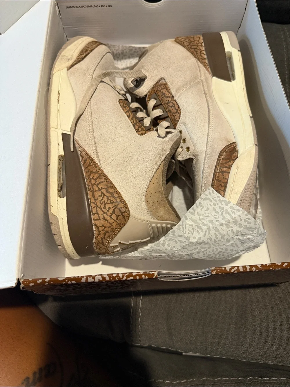 Jordan Retro 3s